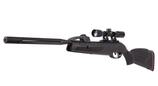 Gamo 611006875554 Swarm Whisper Air Rifle.22